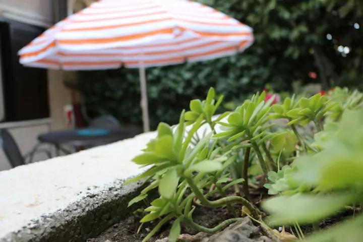 Apartman Spinut & Marjan Split Kültér fotó